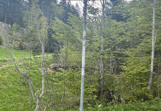 23-05-23 11-09-08 5578